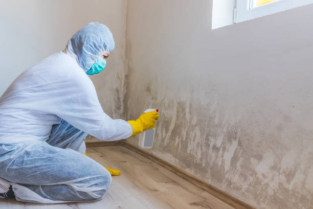 Bathroom Mold Removal assessment in Seminole bathroom